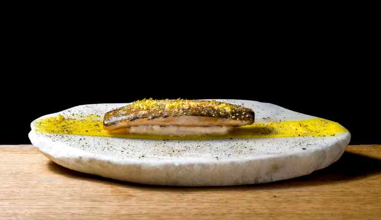 Ricard Camarena Valencia