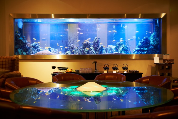 StokePark_Dec14-SpaLounge08