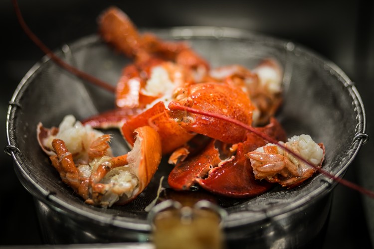 Lobster noodles with XO sauce full - HKK