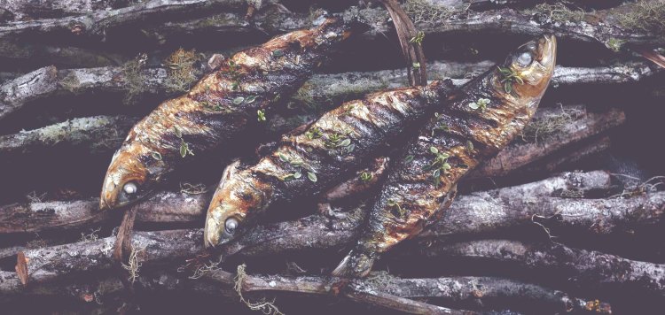 cigalon_food-header fish