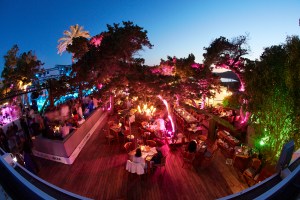 Blue Marlin External Image by Gin and Bone