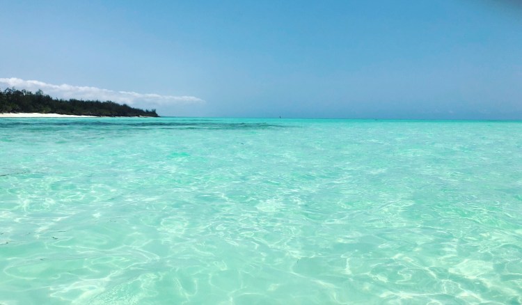 Ocean Tulia Zanzibar Africa Paddleboard surfing