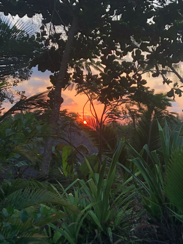Sunset Tulia Zanzibar Africa