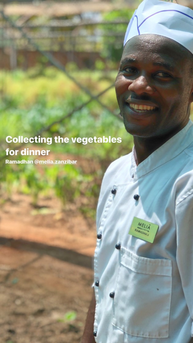 Melia - Zanzibar - Greenhouse - Ginandbone ©®