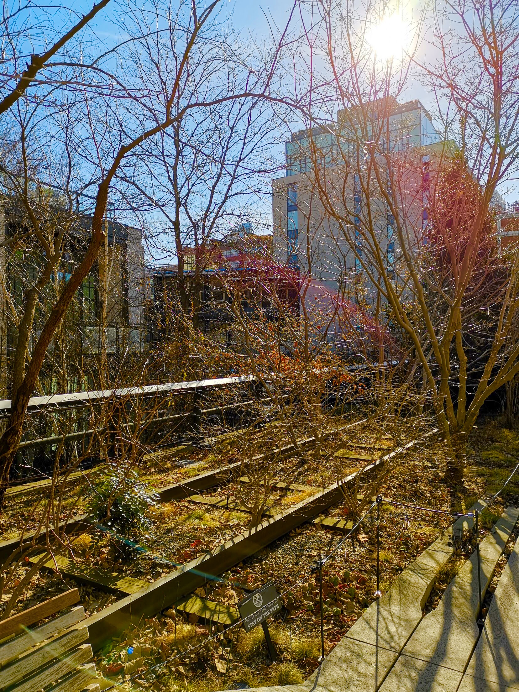 HIghline - New York - Copyright Ginandbone