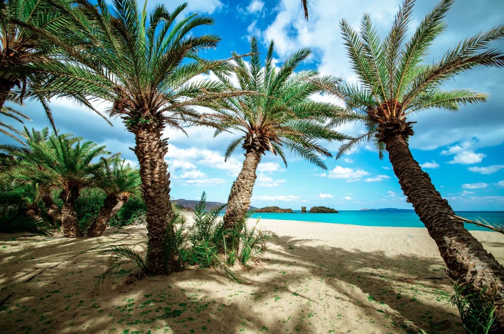 Vai Palm Beach Crete