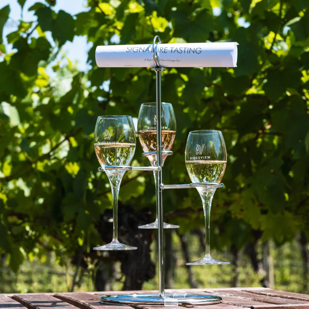 RIDGEVIEW - Vineyard Tour - Sussex - Gin and Bone